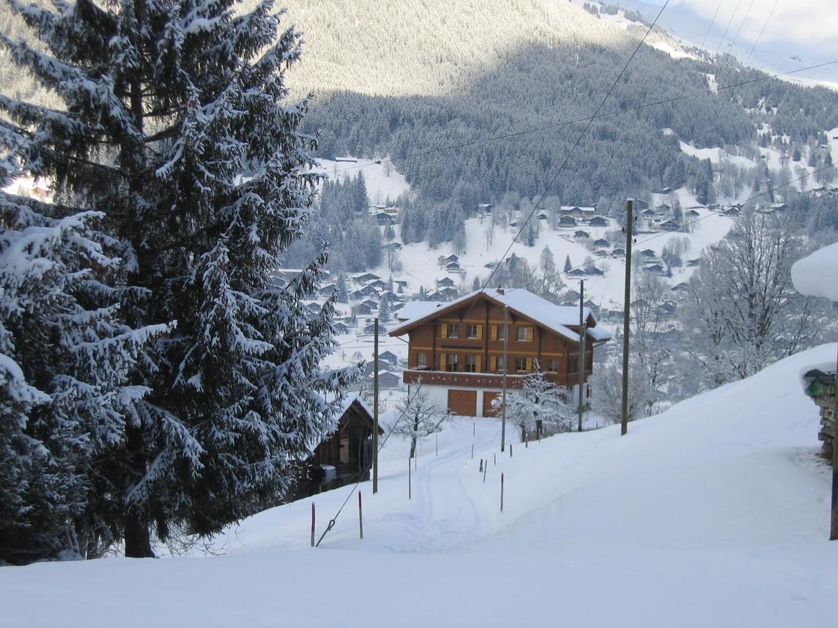 Chalet Studen Гріндельвальд Екстер'єр фото