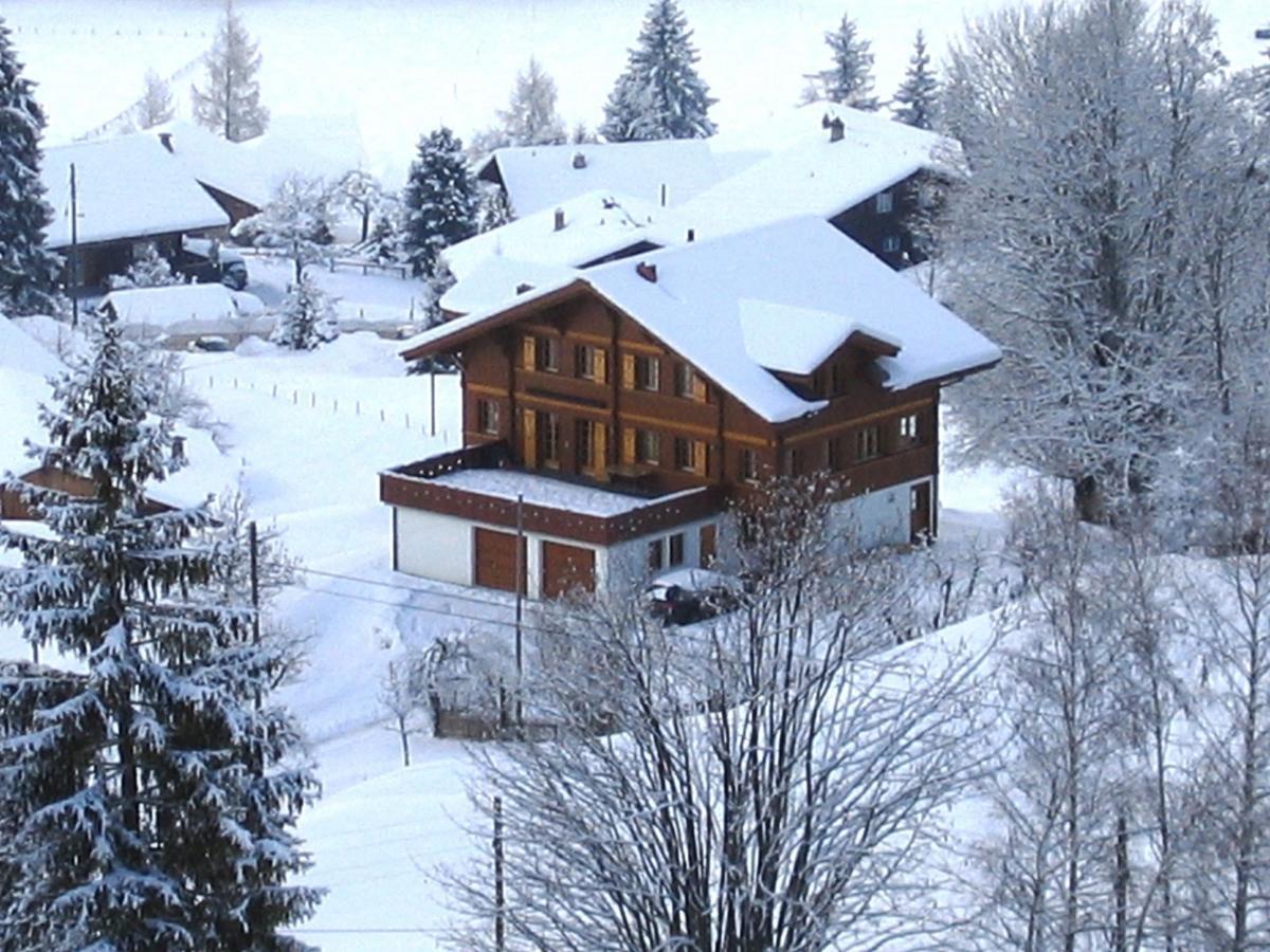 Chalet Studen Гріндельвальд Екстер'єр фото